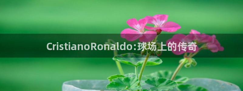 26世界杯：CristianoRonaldo:球场上的传奇