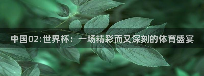 女足世界杯赛程：中国02:世界杯：一场精彩而又深刻的体育盛宴