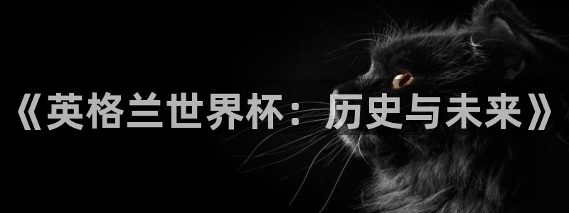 世界杯欧洲区世预赛赛程：《英格兰世界杯：历史与未来》