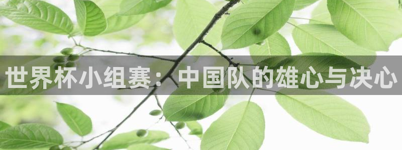 世界杯亚洲预选赛18强赛程：世界杯小组赛：中国队的雄心与决心