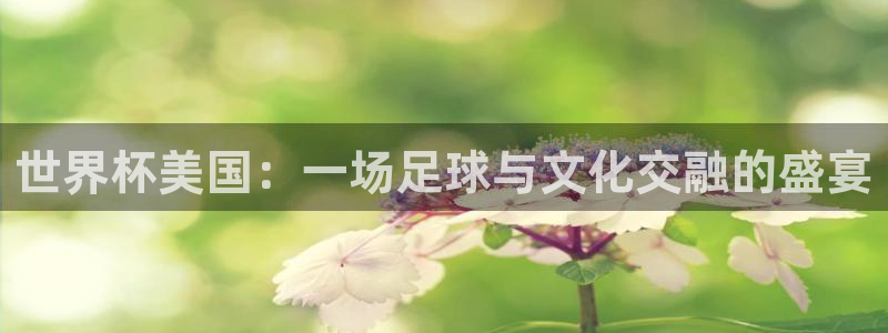 2026世界杯32强对阵图表：世界杯美国：一场足球与文化交融的盛宴