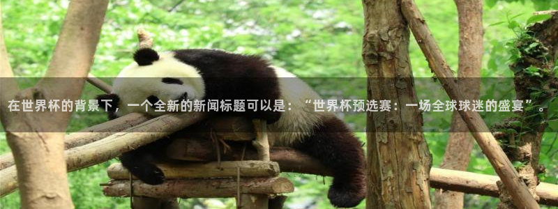 世界杯亚洲区预选赛积分榜：在世界杯的背景下，一个全新的新闻标题可以是：“世界杯预选赛：一场全球球迷的盛宴”。