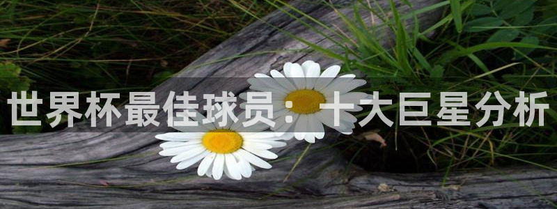 世界杯官网入口：世界杯最佳球员：十大巨星分析