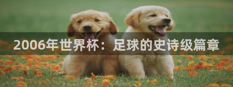 世界杯直播观看：2006年世界杯：足球的史诗级篇章