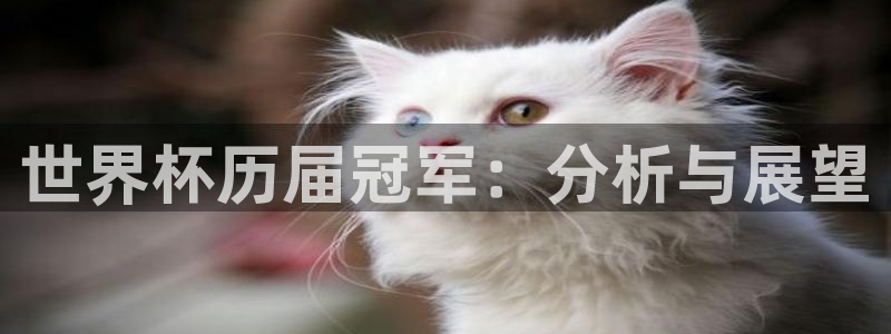 2026足球世界杯赛程时间表：世界杯历届冠军：分析与展望