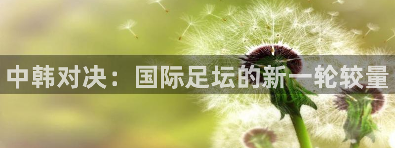 世界杯亚洲区预选赛积分榜：中韩对决：国际足坛的新一轮较量