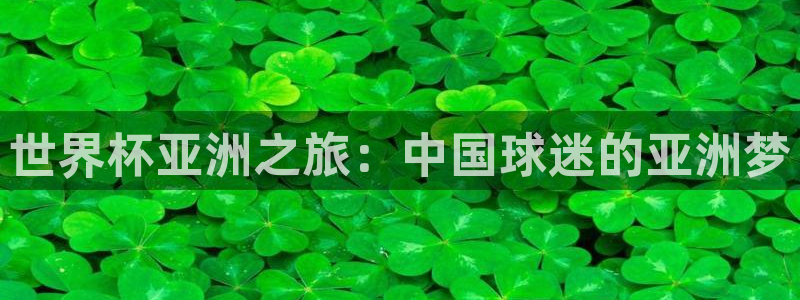 世俱杯直播：世界杯亚洲之旅：中国球迷的亚洲梦