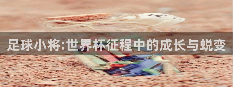 2026年世界杯对阵图：足球小将:世界杯征程中的成长与蜕变