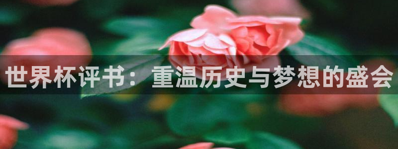 欧洲区世界杯预选赛：世界杯评书：重温历史与梦想的盛会
