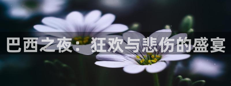 世界杯足球直播：巴西之夜：狂欢与悲伤的盛宴